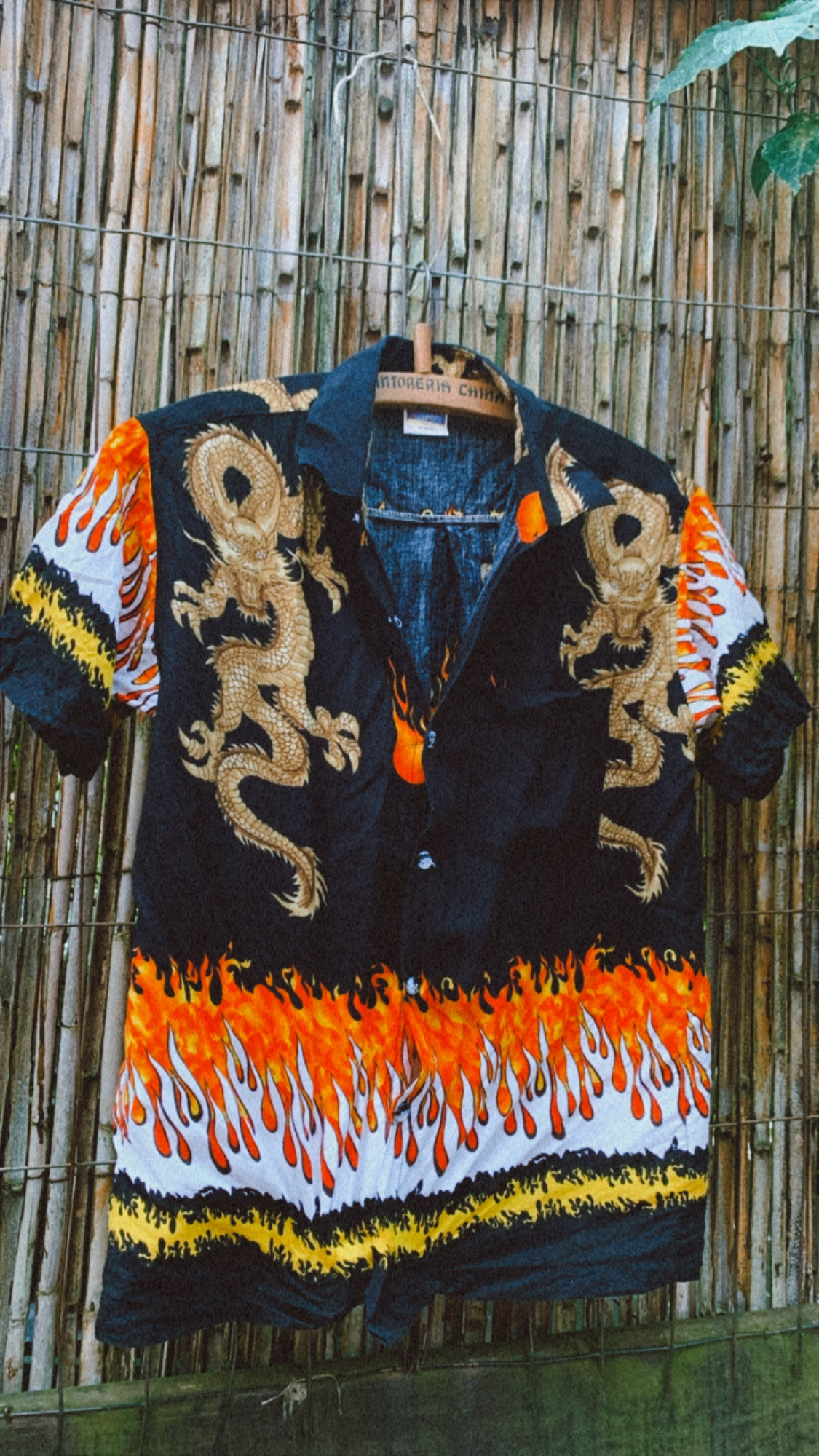 Camisa vintage dragons. 